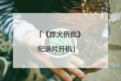 《烽火侨批》纪录片开机