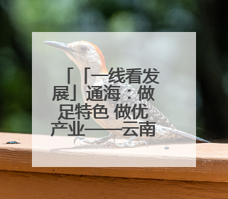 「一线看发展」通海：做足特色 做优产业——云南县域经济样本观察之二