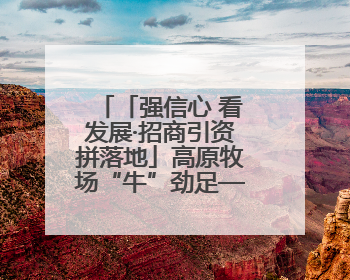 「强信心 看发展·招商引资拼落地」高原牧场“牛”劲足——甘肃华予高原牧场高标准奶牛肉牛养殖项目一线见闻
