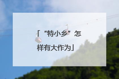 “特小乡”怎样有大作为