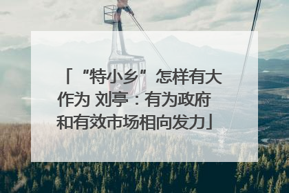 “特小乡”怎样有大作为 刘亭：有为政府和有效市场相向发力