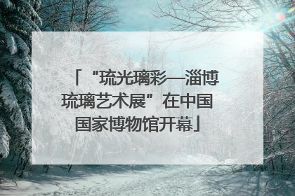 “琉光璃彩—淄博琉璃艺术展”在中国国家博物馆开幕