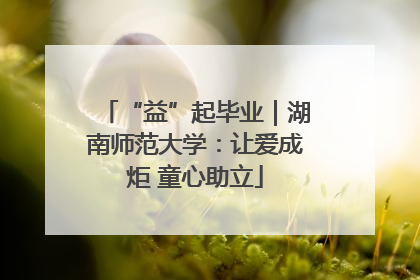 “益”起毕业｜湖南师范大学：让爱成炬 童心助立