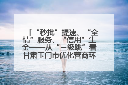 “秒批”提速、“全情”服务、“信用”生金——从“三级跳”看甘肃玉门市优化营商环境的进阶之路