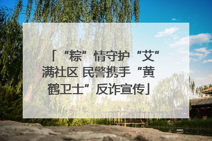 “粽”情守护“艾”满社区 民警携手“黄鹤卫士”反诈宣传