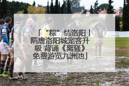 “粽”情洛阳丨隋唐洛阳城宠客升级 背诵《离骚》免费游览九洲池