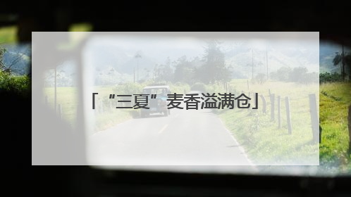 “三夏”麦香溢满仓