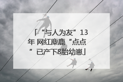 “与人为友”13年 网红麋鹿“点点”已产下8胎幼崽