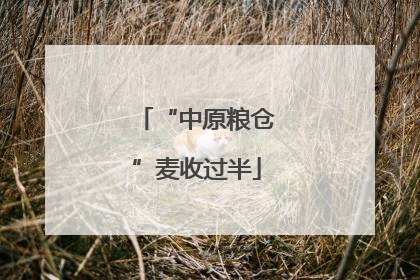 “中原粮仓”麦收过半