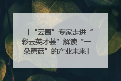 “云菌”专家走进“彩云英才荟”解读“一朵蘑菇”的产业未来