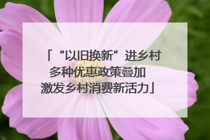 “以旧换新”进乡村 多种优惠政策叠加 激发乡村消费新活力