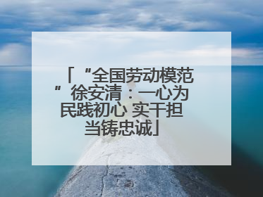 “全国劳动模范”徐安清：一心为民践初心 实干担当铸忠诚