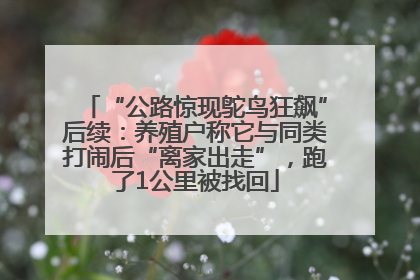“公路惊现鸵鸟狂飙”后续：养殖户称它与同类打闹后“离家出走”，跑了1公里被找回