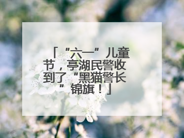 “六一”儿童节，亭湖民警收到了“黑猫警长”锦旗！