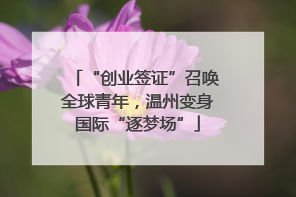 “创业签证”召唤全球青年，温州变身国际“逐梦场”