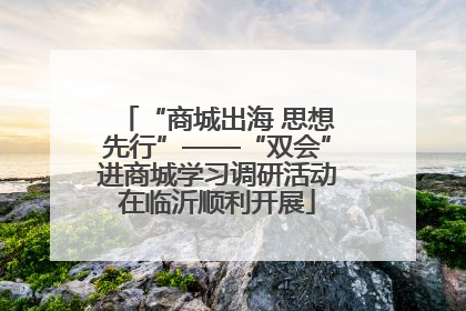 “商城出海 思想先行”——“双会”进商城学习调研活动在临沂顺利开展