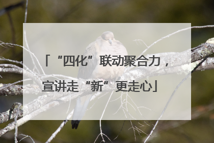 “四化”联动聚合力，宣讲走“新”更走心
