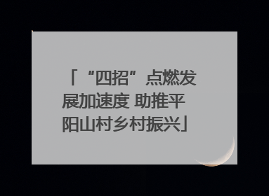 “四招”点燃发展加速度 助推平阳山村乡村振兴