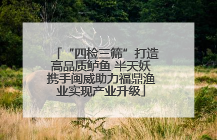 “四检三筛”打造高品质鲈鱼 半天妖携手闽威助力福鼎渔业实现产业升级