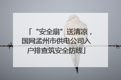 “安全扇”送清凉，国网孟州市供电公司入户排查筑安全防线
