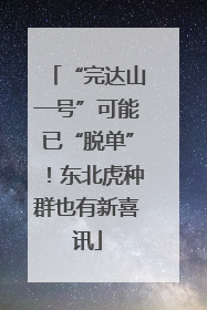 “完达山一号”可能已“脱单”！东北虎种群也有新喜讯