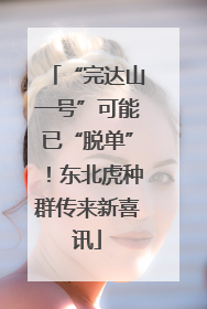 “完达山一号”可能已“脱单”！东北虎种群传来新喜讯