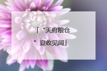“天府粮仓”夏收见闻