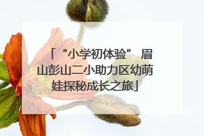 “小学初体验” 眉山彭山二小助力区幼萌娃探秘成长之旅