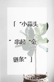 “小蒜头”串起“金链条”