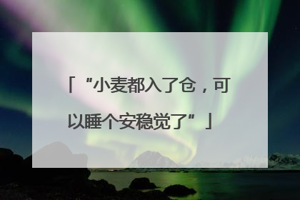 “小麦都入了仓，可以睡个安稳觉了”