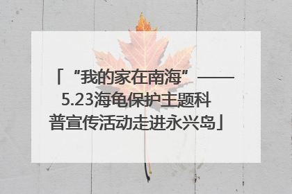 “我的家在南海”——5.23海龟保护主题科普宣传活动走进永兴岛