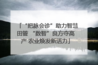 “把脉会诊”助力智慧田管 “数智”良方夺高产 农业焕发新活力