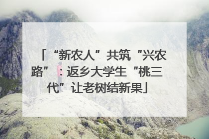 “新农人”共筑“兴农路”：返乡大学生“桃三代”让老树结新果