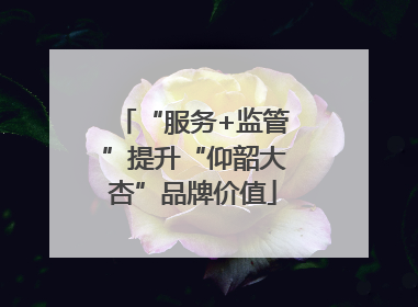 “服务+监管”提升“仰韶大杏”品牌价值