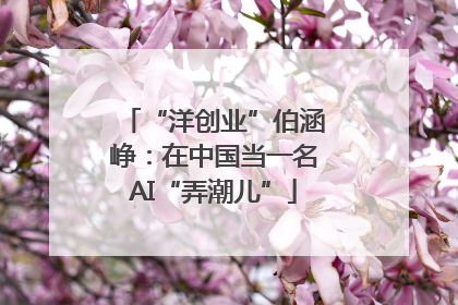 “洋创业”伯涵峥：在中国当一名AI“弄潮儿”