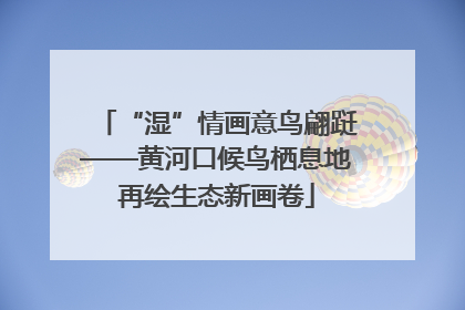 “湿”情画意鸟翩跹——黄河口候鸟栖息地再绘生态新画卷