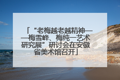 “老梅越老越精神——梅雪峰、梅纯一艺术研究展”研讨会在安徽省美术馆召开