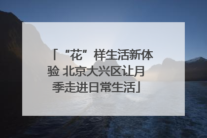 “花”样生活新体验 北京大兴区让月季走进日常生活