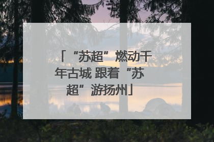 “苏超”燃动千年古城 跟着“苏超”游扬州