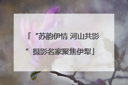 “苏韵伊情 河山共影”摄影名家聚焦伊犁
