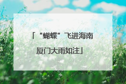 “蝴蝶”飞进海南 厦门大雨如注