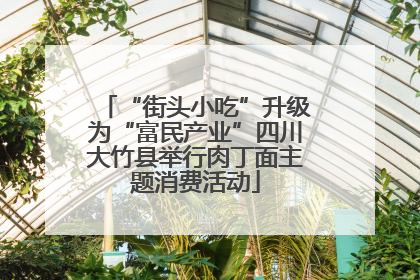 “街头小吃”升级为“富民产业”四川大竹县举行肉丁面主题消费活动