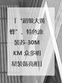 “超级大黄蜂”、特色涂装苏-30MKM 众多明星装备亮相