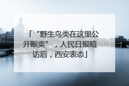 “野生鸟类在这里公开贩卖”，人民日报暗访后，西安表态