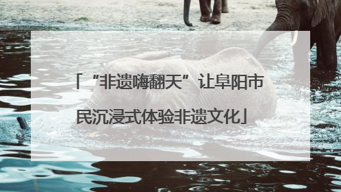 “非遗嗨翻天”让阜阳市民沉浸式体验非遗文化