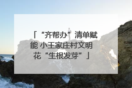 “齐帮办”清单赋能 小王家庄村文明花“生根发芽”