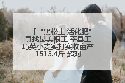 “黑松土 活化肥”寻找最美粮王 莘县王巧英小麦实打实收亩产1515.4斤 超对照田144斤！