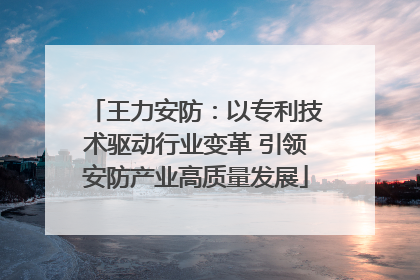 王力安防：以专利技术驱动行业变革 引领安防产业高质量发展