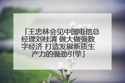 王忠林会见中国电信总经理刘桂清 做大做强数字经济 打造发展新质生产力的强劲引擎