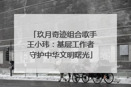 玖月奇迹组合歌手王小玮：基层工作者守护中华文明曙光